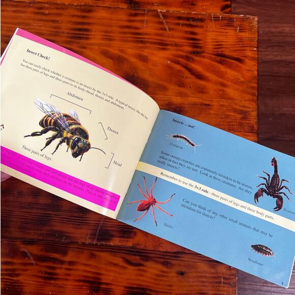Vintage 1996 Discover Insects Paperback Book - Picture 4 of 8
